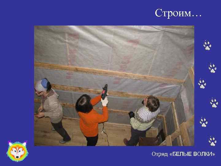 Строим… Отряд «БЕЛЫЕ ВОЛКИ» 