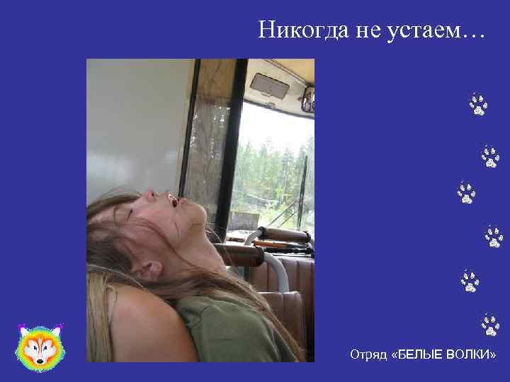 Никогда не устаем… Отряд «БЕЛЫЕ ВОЛКИ» 