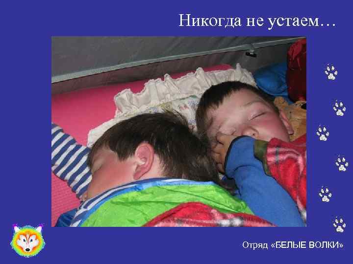 Никогда не устаем… Отряд «БЕЛЫЕ ВОЛКИ» 