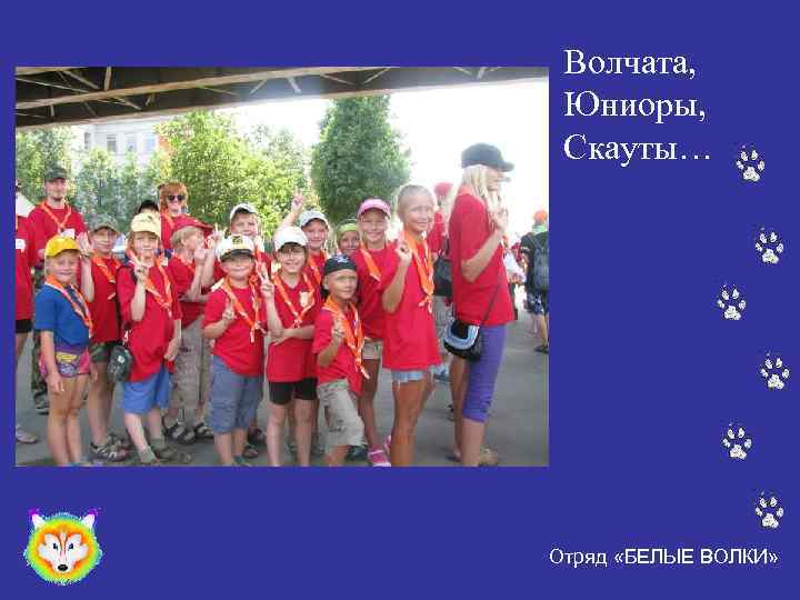 Волчата, Юниоры, Скауты… Отряд «БЕЛЫЕ ВОЛКИ» 