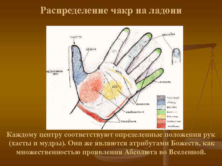 Распределение чакр на ладони Каждому центру соответствуют определенные положения рук (хасты и мудры). Они