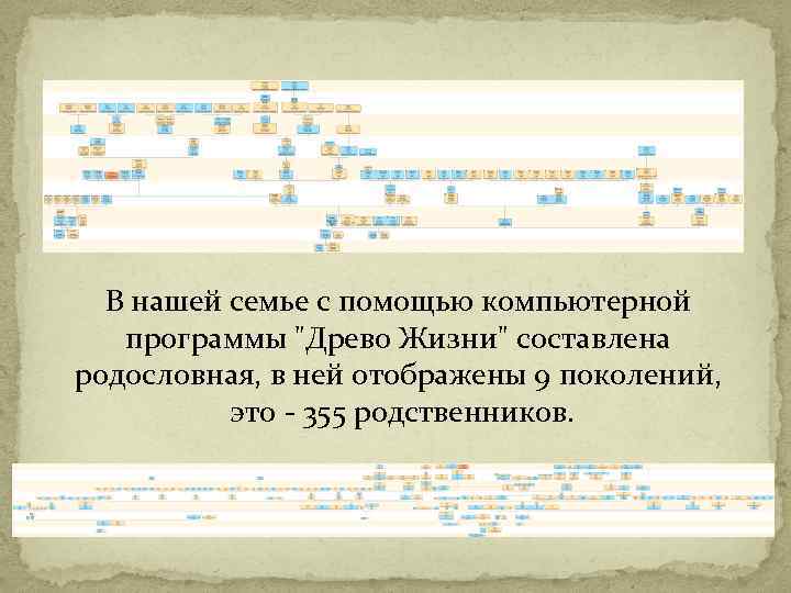 В нашей семье с помощью компьютерной программы "Древо Жизни" составлена родословная, в ней отображены