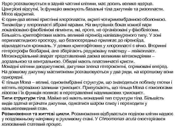 Ядро розташовується в задній частині клітини, має досить велике ядерце. Центріолі відсутні, їх функцію