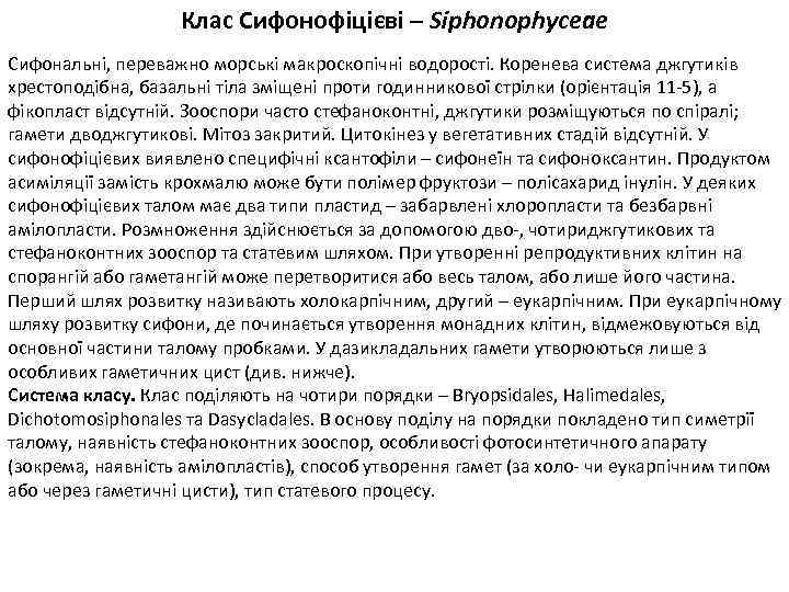 Клас Сифонофіцієві – Siphonophyceae Сифональні, переважно морські макроскопічні водорості. Коренева система джгутиків хрестоподібна, базальні