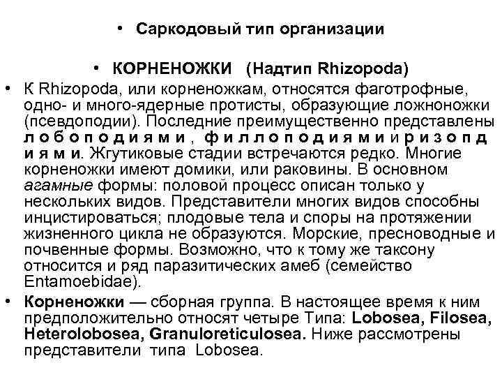  • Саркодовый тип организации • КОРНЕНОЖКИ (Надтип Rhizopoda) • К Rhizopoda, или корненожкам,