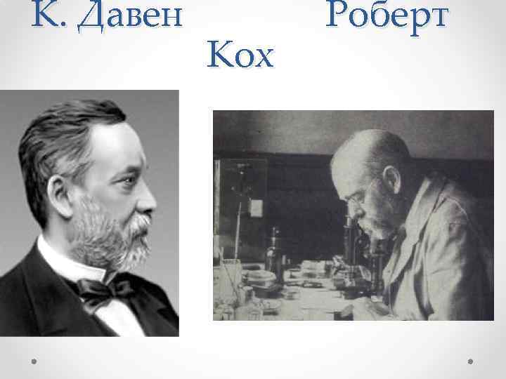 К. Давен Кох Роберт 