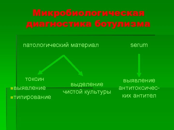 Микробиологическая диагностика ботулизма патологический материал токсин nвыявление nтипирование выделение чистой культуры serum выявление антитоксических