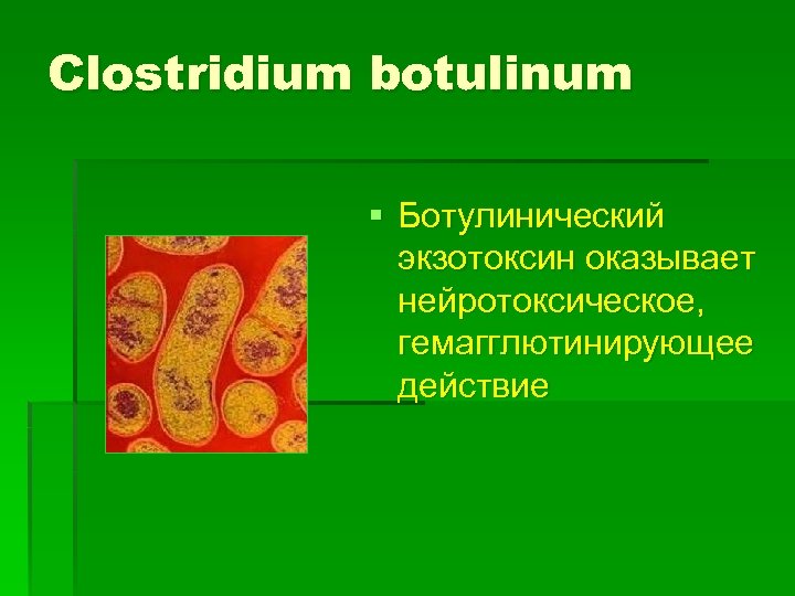 Clostridium botulinum § Ботулинический экзотоксин оказывает нейротоксическое, гемагглютинирующее действие 