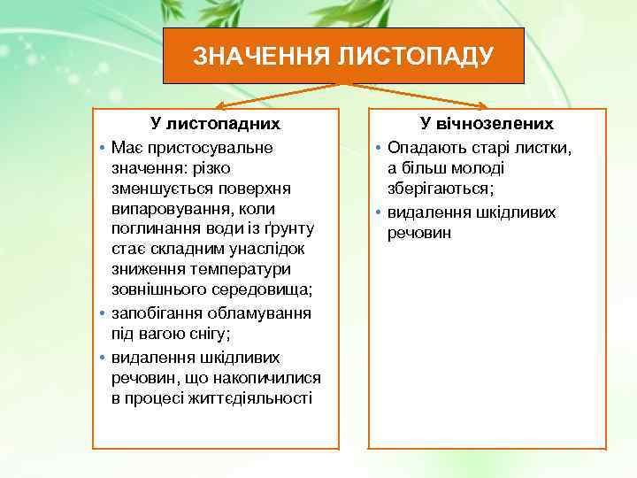 ЗНАЧЕННЯ ЛИСТОПАДУ У листопадних • Має пристосувальне значення: різко зменшується поверхня випаровування, коли поглинання
