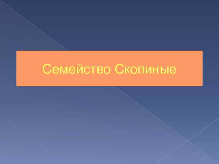 Семейство Скопиные 