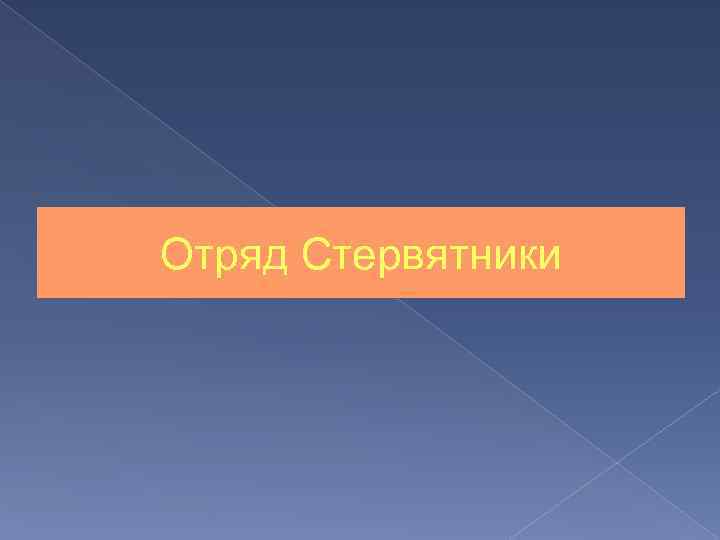 Отряд Стервятники 