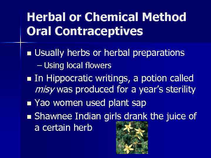 Herbal or Chemical Method Oral Contraceptives n Usually herbs or herbal preparations – Using