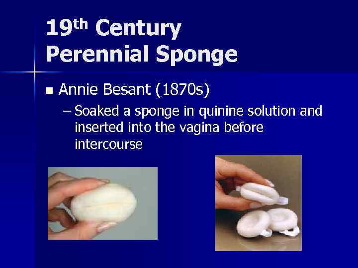 19 th Century Perennial Sponge n Annie Besant (1870 s) – Soaked a sponge