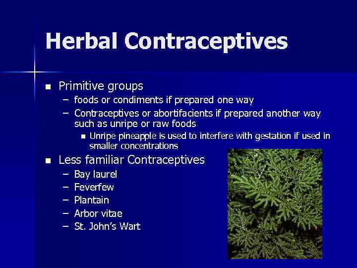 Herbal Contraceptives n Primitive groups – foods or condiments if prepared one way –