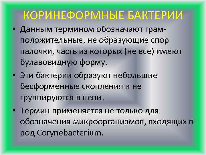 КОРИНЕФОРМНЫЕ БАКТЕРИИ • Данным термином обозначают грамположительные, не образующие спор палочки, часть из которых