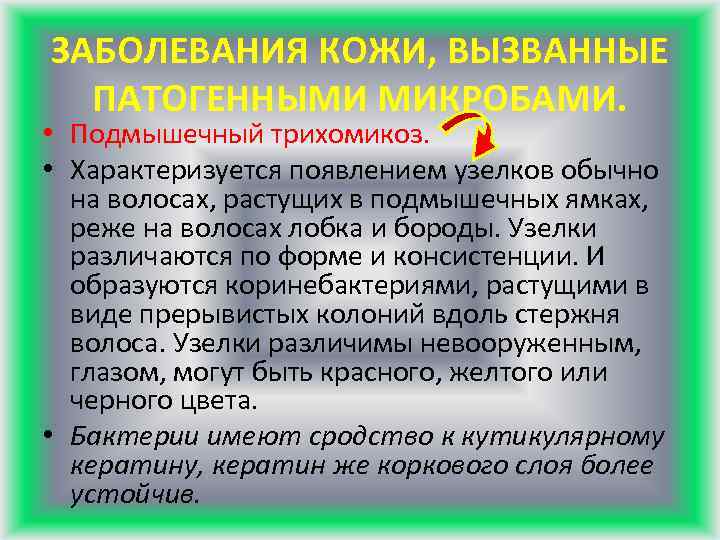 ЗАБОЛЕВАНИЯ КОЖИ, ВЫЗВАННЫЕ ПАТОГЕННЫМИ МИКРОБАМИ. • Подмышечный трихомикоз. • Характеризуется появлением узелков обычно на