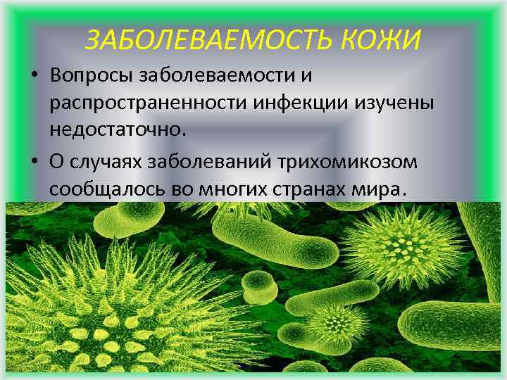 ЗАБОЛЕВАЕМОСТЬ КОЖИ • Вопросы заболеваемости и распространенности инфекции изучены недостаточно. • О случаях заболеваний