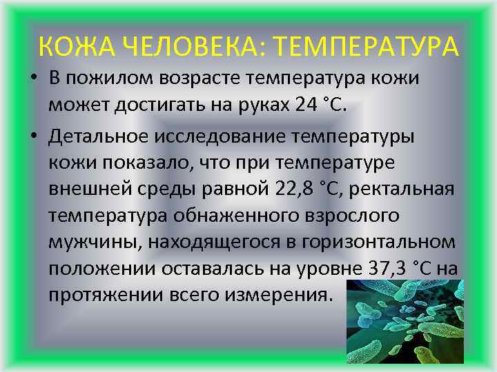 КОЖА ЧЕЛОВЕКА: ТЕМПЕРАТУРА • В пожилом возрасте температура кожи может достигать на руках 24