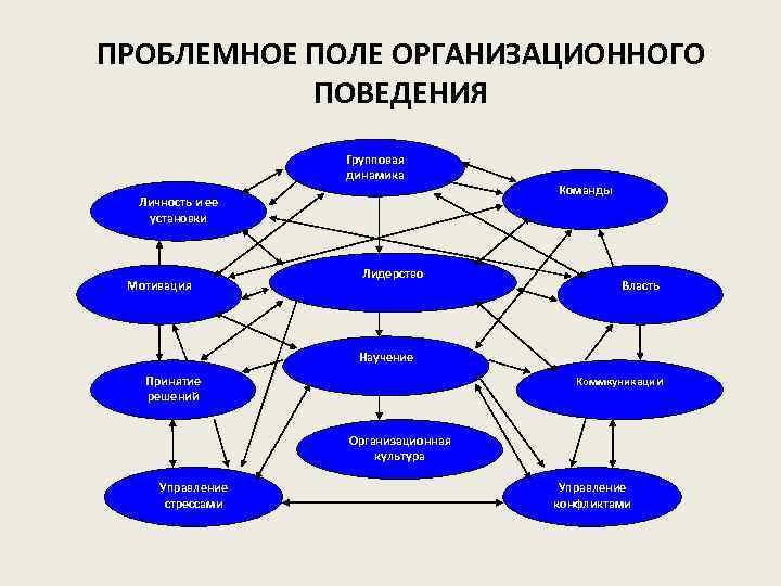 ПРОБЛЕМНОЕ ПОЛЕ ОРГАНИЗАЦИОННОГО ПОВЕДЕНИЯ Групповая динамика Личность и ее установки Мотивация Лидерство Команды Власть