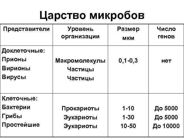 Царство микробов Представители Доклеточные: Прионы Вирусы Клеточные: Бактерии Грибы Простейшие Уровень организации Размер мкм