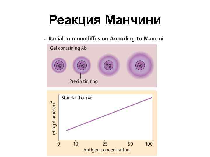 Реакция преципитации микробиология презентация