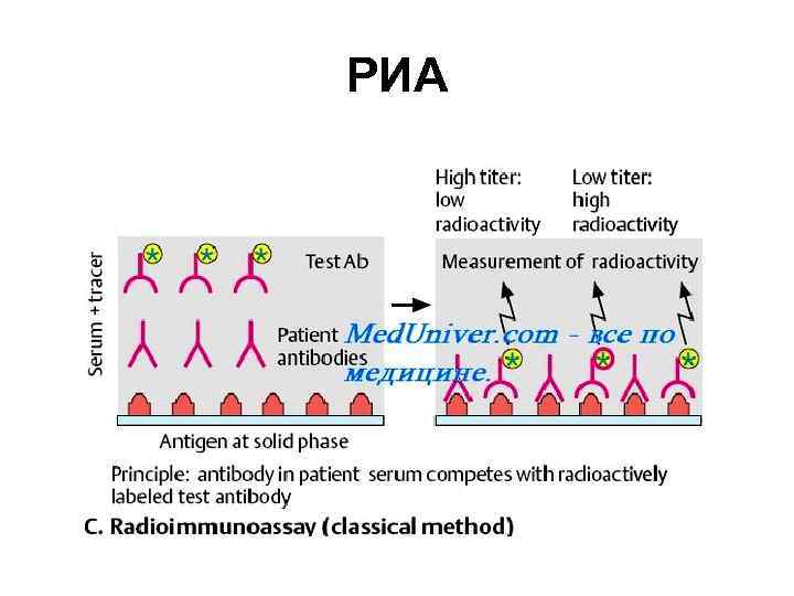 Радиоиммунный анализ схема