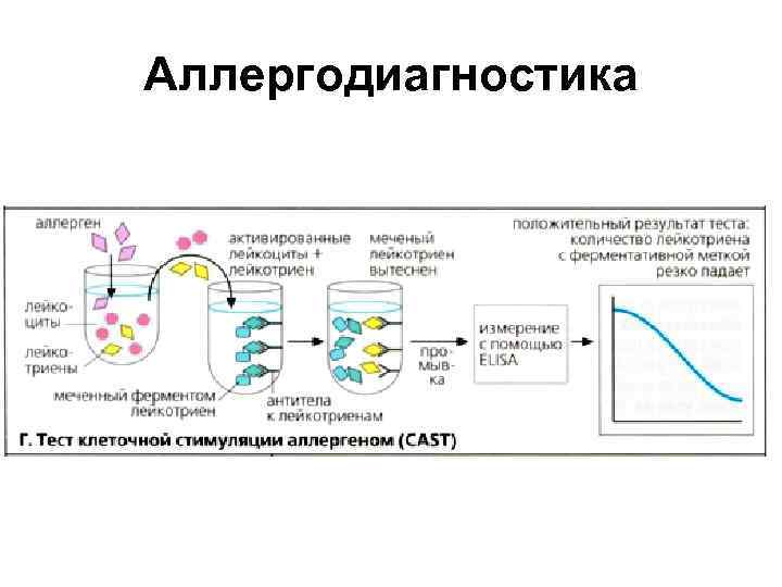 Аллергодиагностика 