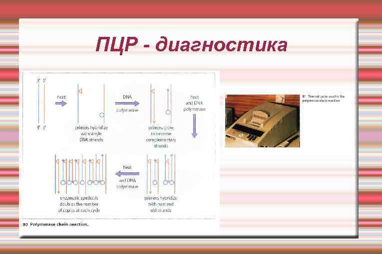 ПЦР - диагностика 