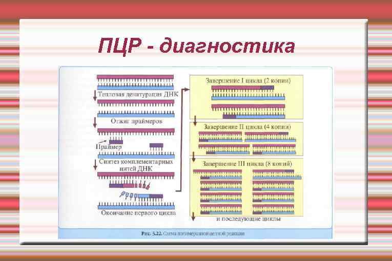 ПЦР - диагностика 