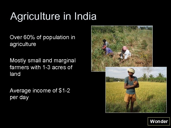 Agriculture in India Over 60% of population in agriculture Mostly small and marginal farmers