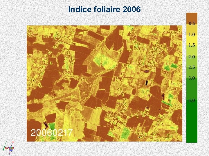 Indice foliaire 2006 