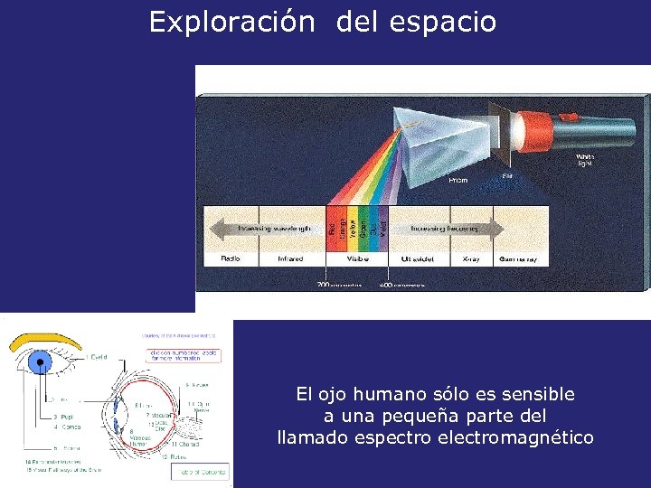 Exploración del espacio El ojo humano sólo es sensible a una pequeña parte del