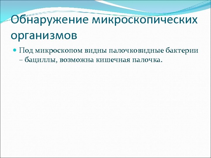 Обнаружение микроскопических организмов Под микроскопом видны палочковидные бактерии – бациллы, возможна кишечная палочка. 