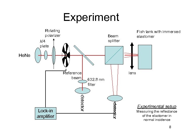 Experiment Rotating polarizer λ/4 plate Fish tank with immersed elastomer Beam splitter He. Ne