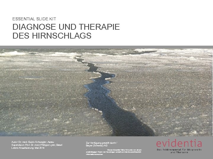 ESSENTIAL SLIDE KIT DIAGNOSE UND THERAPIE DES HIRNSCHLAGS Autor: Dr. med. Guido Schwegler, Aarau