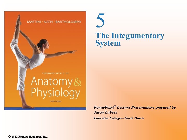 5 The Integumentary System Power. Point® Lecture Presentations prepared by Jason La. Pres Lone