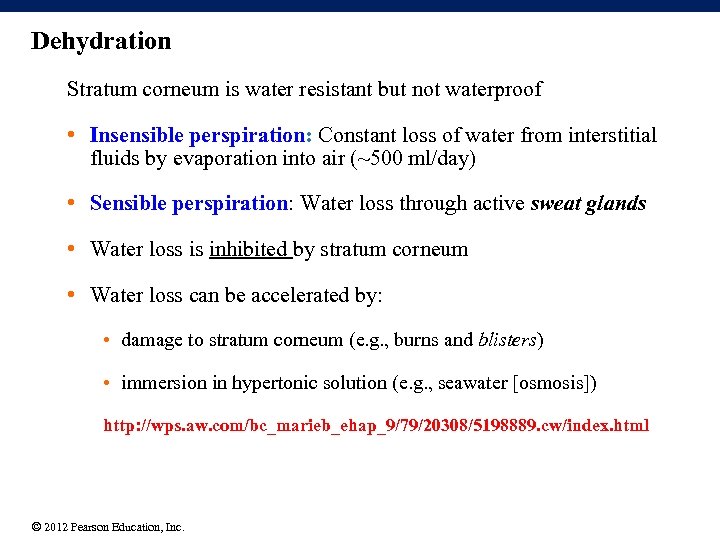 Dehydration Stratum corneum is water resistant but not waterproof • Insensible perspiration: Constant loss