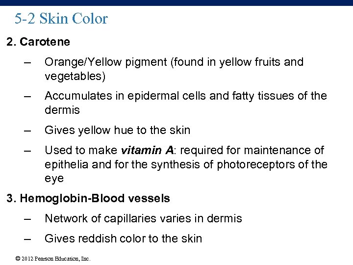 5 -2 Skin Color 2. Carotene – Orange/Yellow pigment (found in yellow fruits and