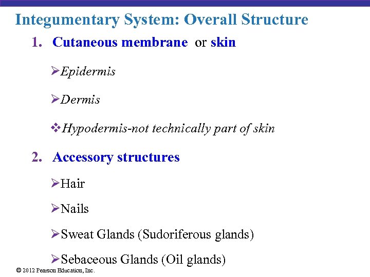 Integumentary System: Overall Structure 1. Cutaneous membrane or skin ØEpidermis ØDermis v. Hypodermis-not technically