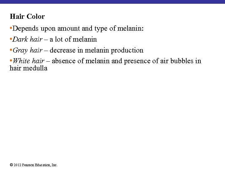 Hair Color • Depends upon amount and type of melanin: • Dark hair –