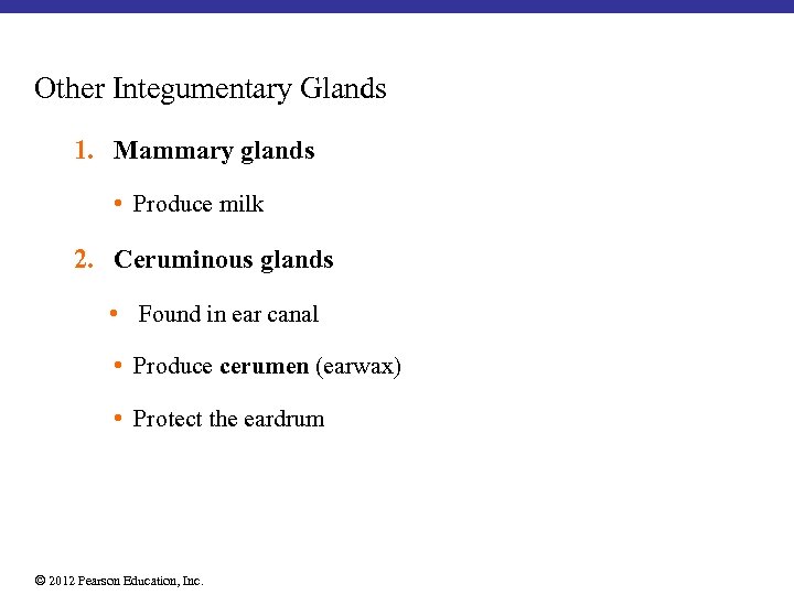 Other Integumentary Glands 1. Mammary glands • Produce milk 2. Ceruminous glands • Found