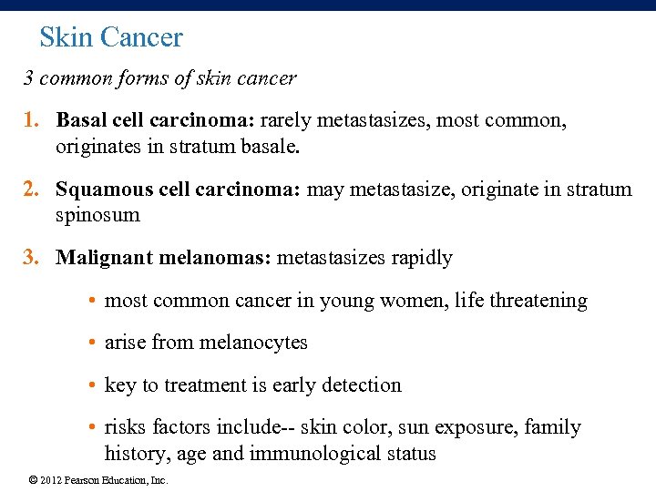 Skin Cancer 3 common forms of skin cancer 1. Basal cell carcinoma: rarely metastasizes,