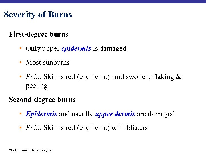 Severity of Burns First-degree burns • Only upper epidermis is damaged • Most sunburns