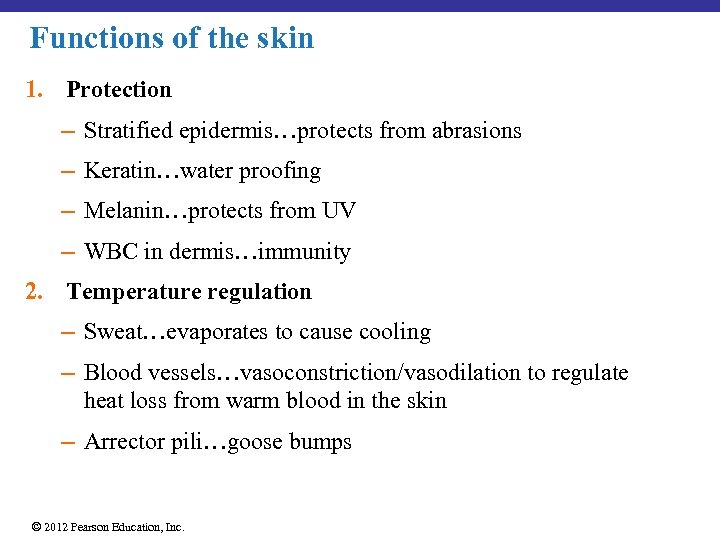 Functions of the skin 1. Protection – Stratified epidermis…protects from abrasions – Keratin…water proofing