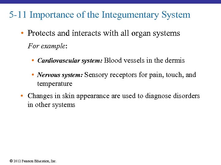 5 -11 Importance of the Integumentary System • Protects and interacts with all organ