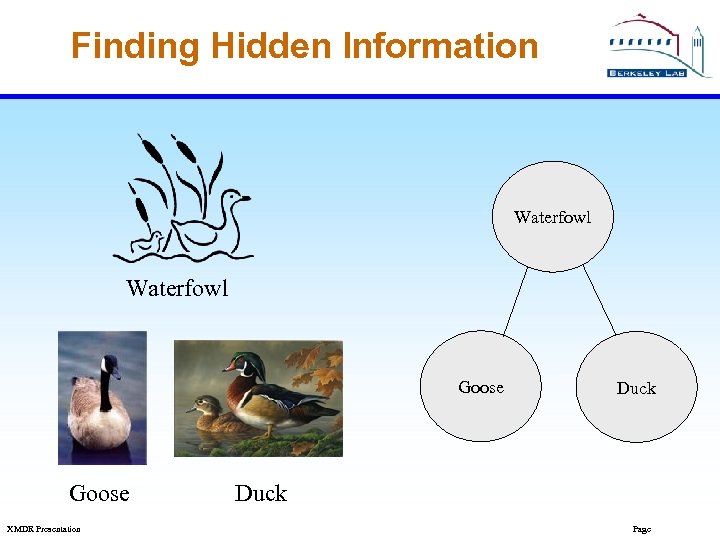 Finding Hidden Information Waterfowl Goose XMDR Presentation Duck Page 