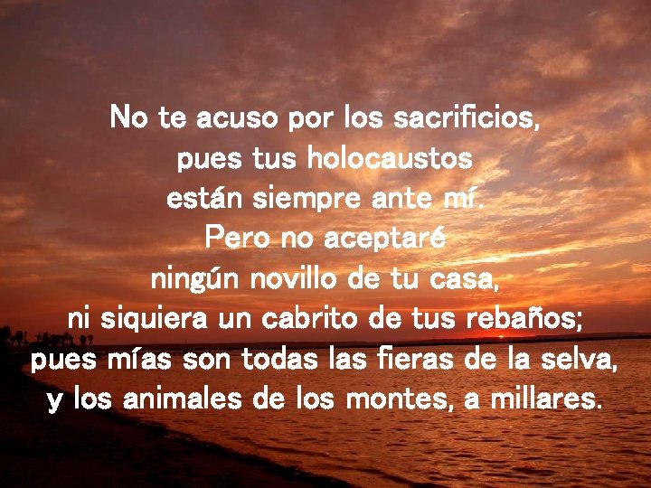 No te acuso por los sacrificios, pues tus holocaustos están siempre ante mí. Pero