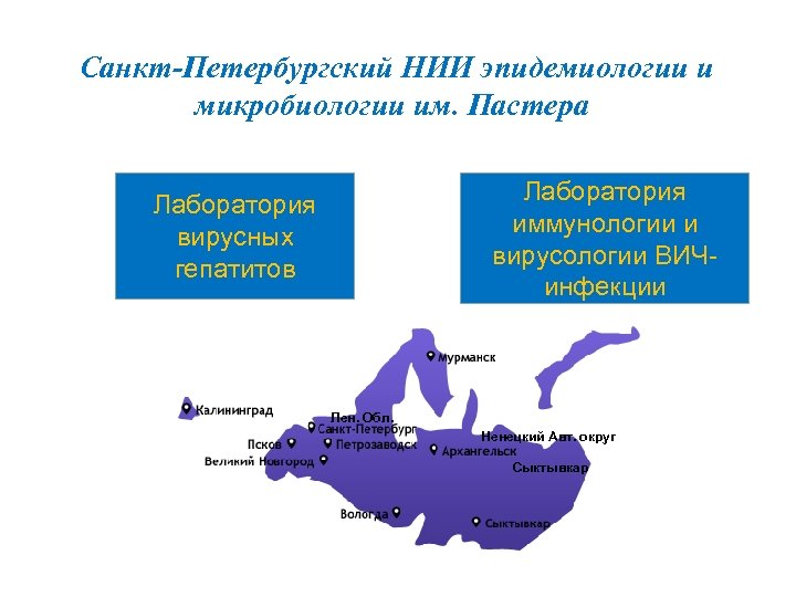 Санкт-Петербургский НИИ эпидемиологии и микробиологии им. Пастера Лаборатория иммунологии и вирусологии ВИЧинфекции Лаборатория вирусных