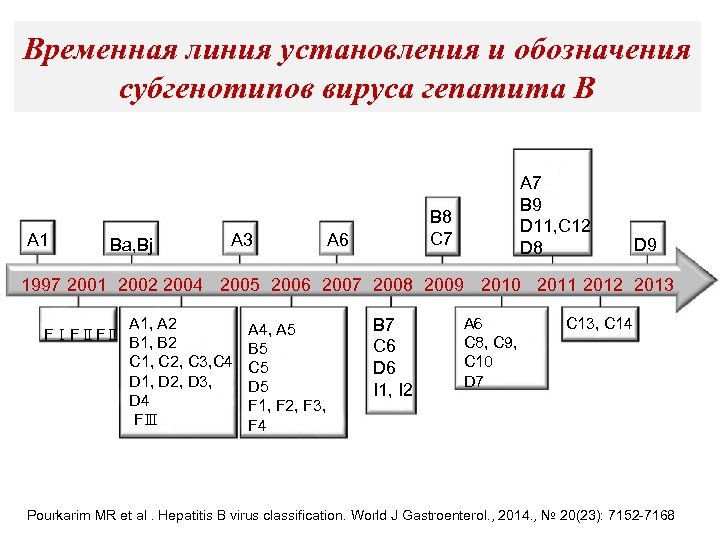 Временная линия установления и обозначения субгенотипов вируса гепатита В A 1 Ba, Bj A