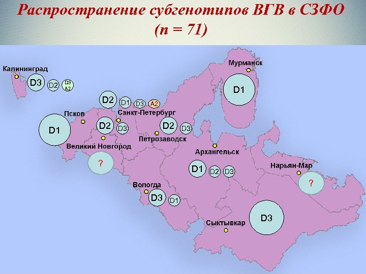 Распространение субгенотипов ВГВ в СЗФО (n = 71) D 3 D 2 D 3